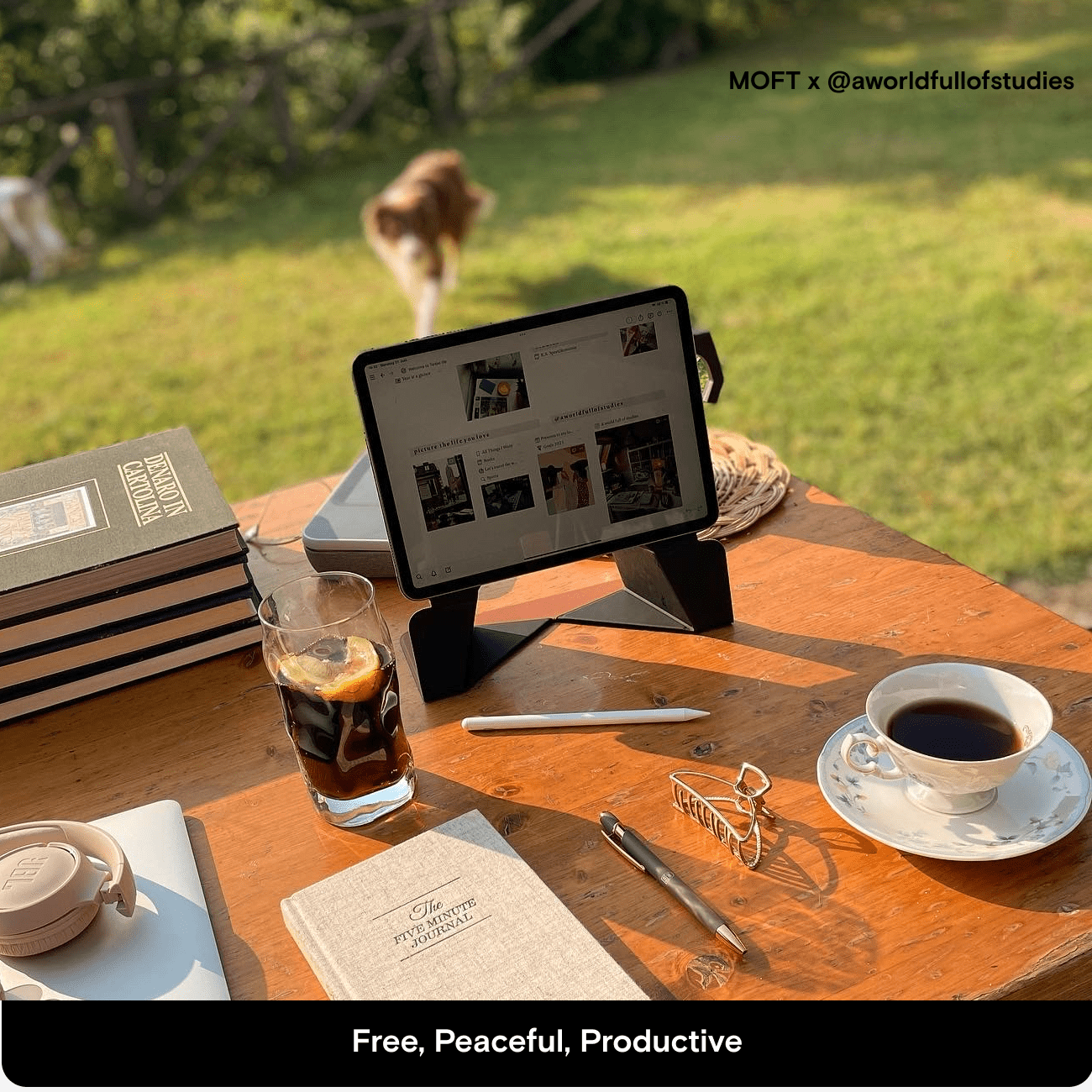 Snap Float Folio for iPads (2023) For Tablets MS026